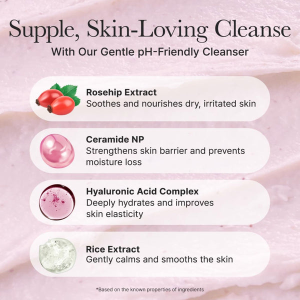 Rosehip Mild PH Balancing Rice Cake Cleanser 150g