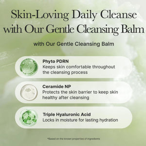 Pore Melt Phyto PDRN Cleansing Balm 90ml