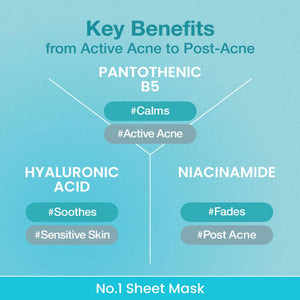No.1 Pantothenic B5 Hyaluronic Active Clear Mask 5 masks