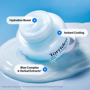 DIVE IN Low Molecular Hyaluronic Acid Soothing Cream 100ml