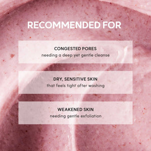 Fresh Rosehip Rice Mochi Cleanser 120g