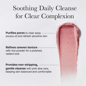 Fresh Rosehip Rice Mochi Cleanser 120g