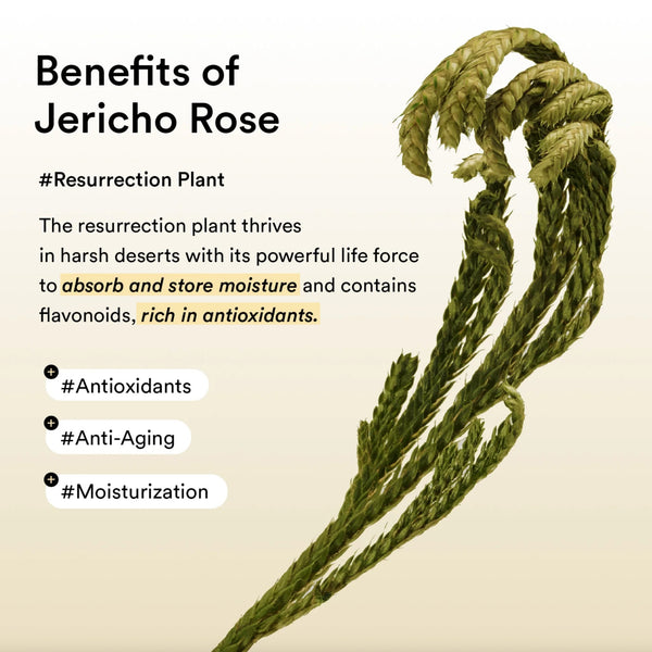 Collagen Eye Patch Jericho Rose Jelly 60pcs