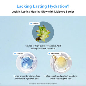 Sedum Hyaluron Pad Hydrating Touch 80 pads