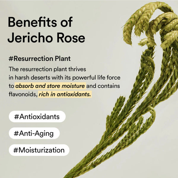 Collagen Eye Cream Jericho Rose Tube 30ml