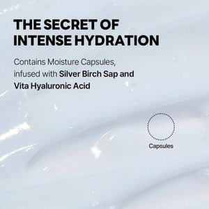 Birch Juice Moisturizing Cream 80ml