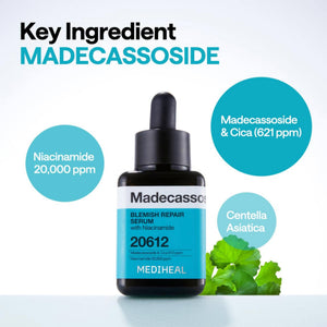 Madecassoside Blemish Repair Serum with Niacinamide 40ml